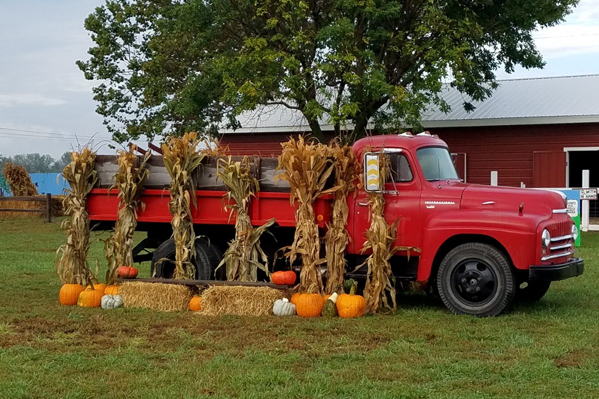 Carolyns Country Cousins Pumpkin Patch In Liberty Missouri