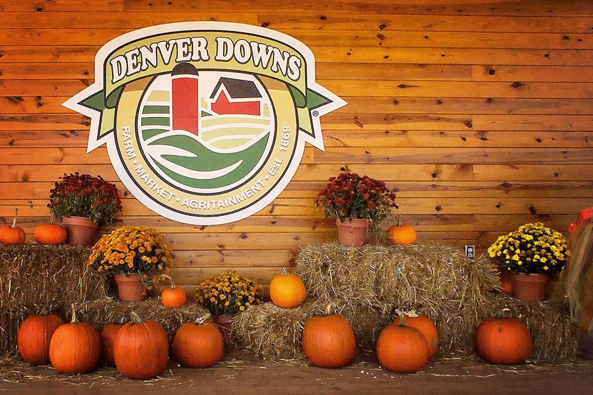 Denver Downs Farm In Anderson South Carolina
