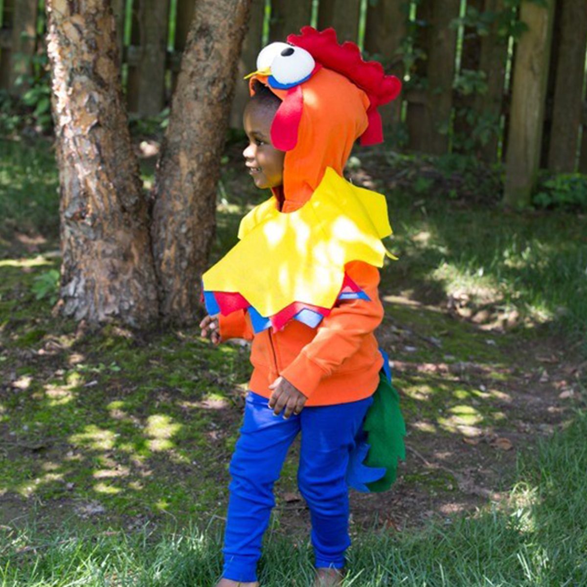 Diy Heihei From Moana Halloween Costume