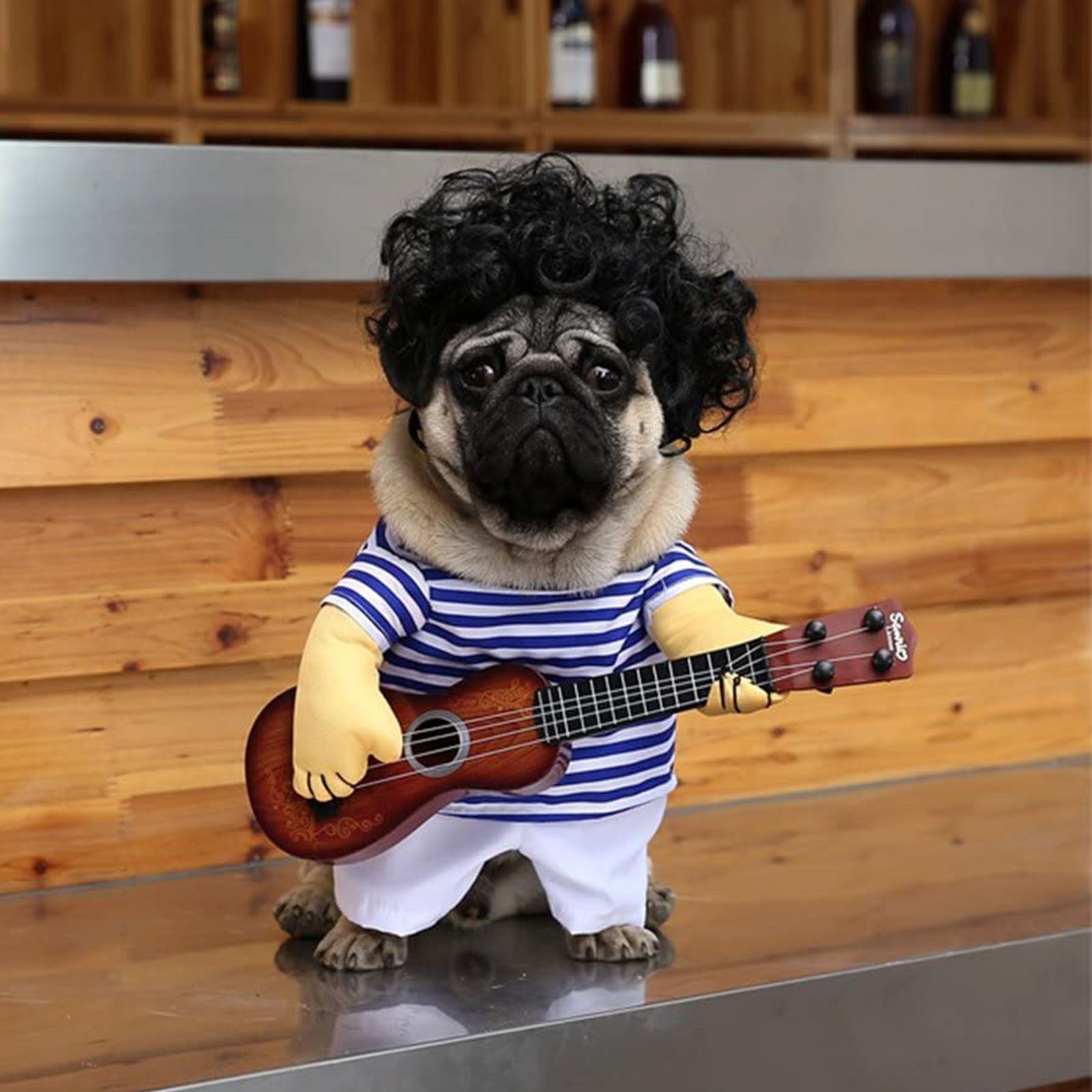 Rocker dog costume