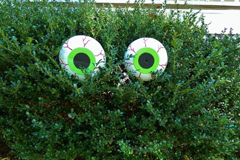 Hidden Eyes Halloween Decoration