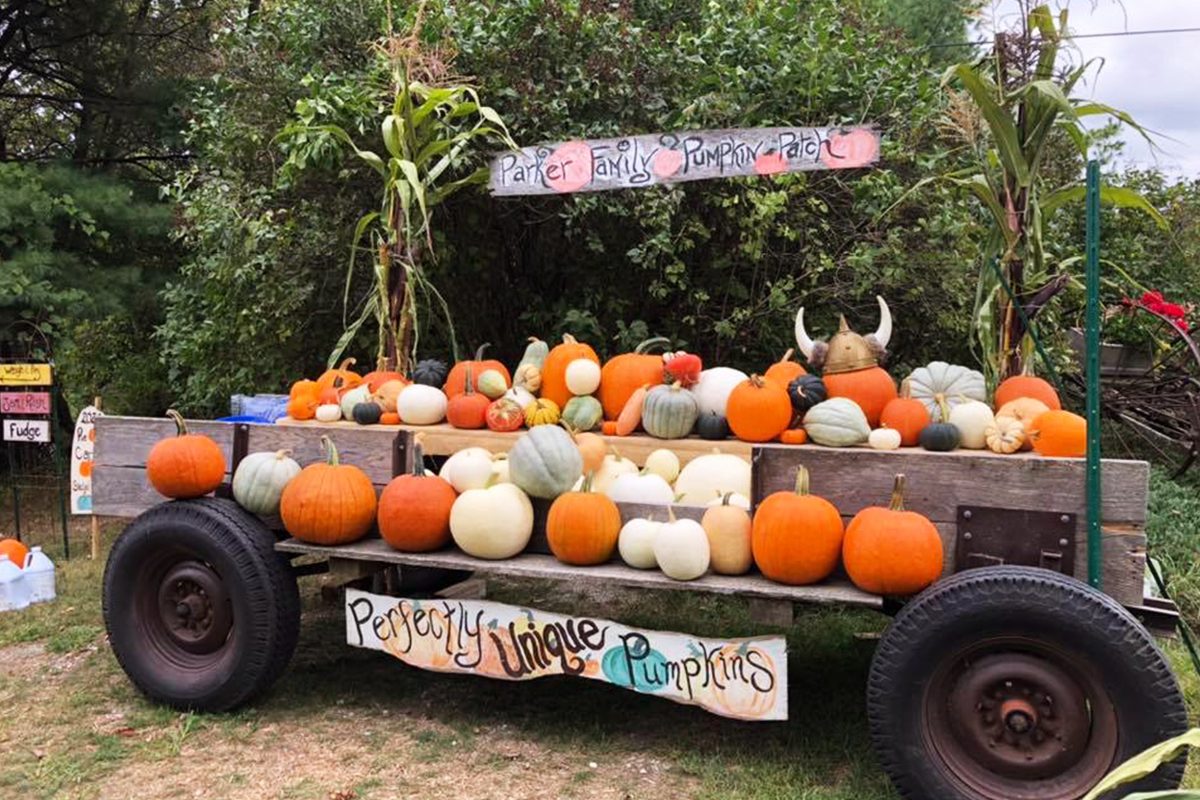Parker Family Farm In Williston Vermont