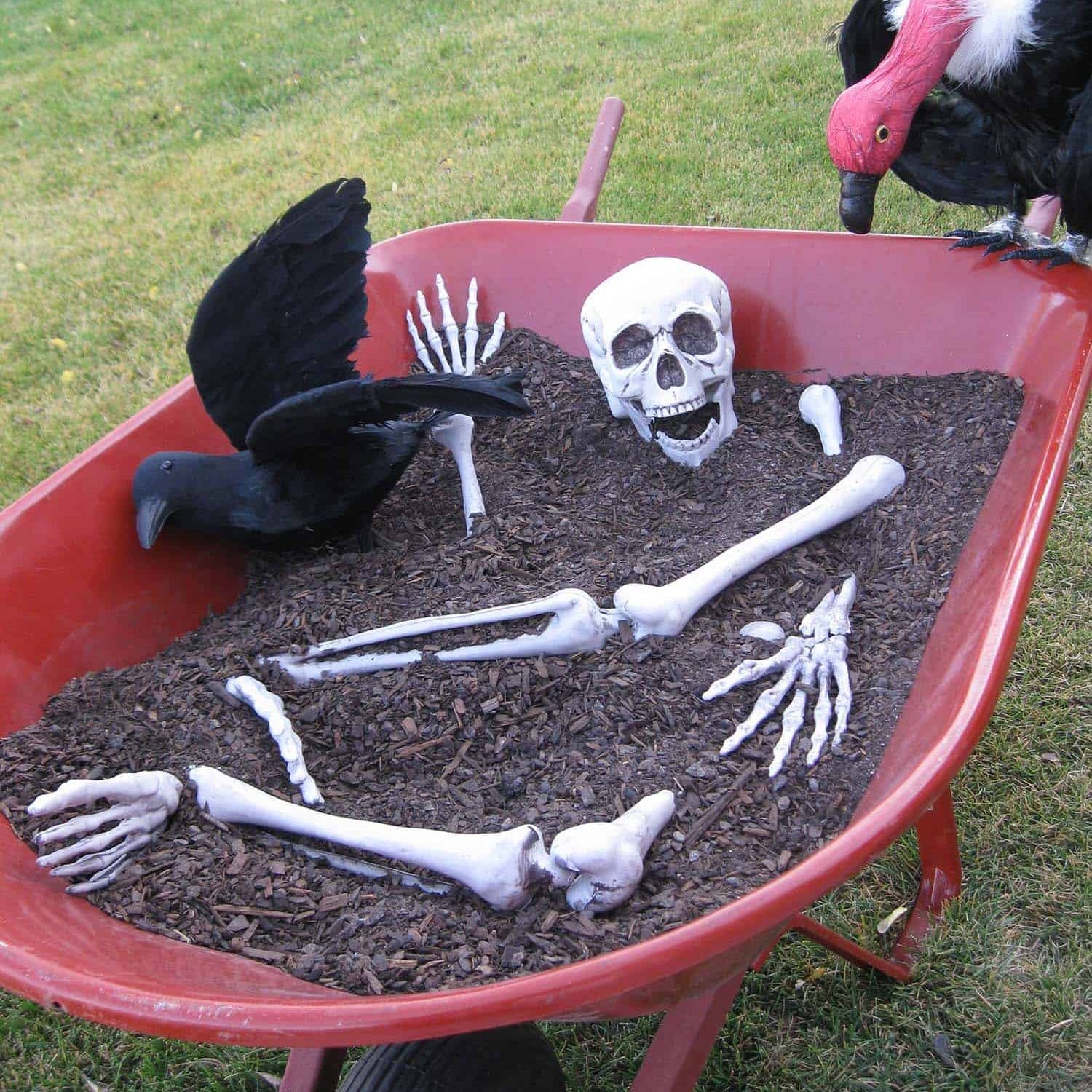 Skeleton Wheel Barrow Decoration