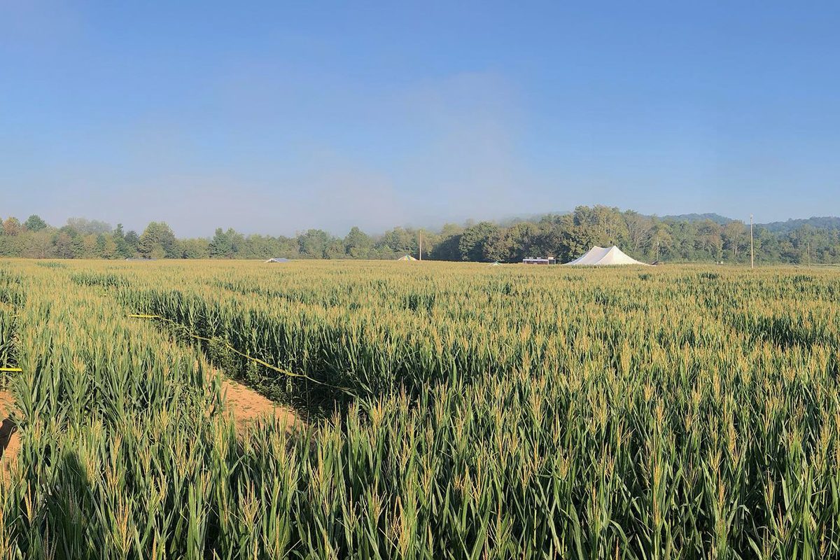 Uncle Shucks Corn Maze And Pumpkin Patch In Dawsonville Georgia Via Facebook