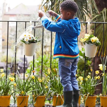 Child waters hanging flowers with a metal watering can on a patio, surrounded by potted yellow plants and green foliage.