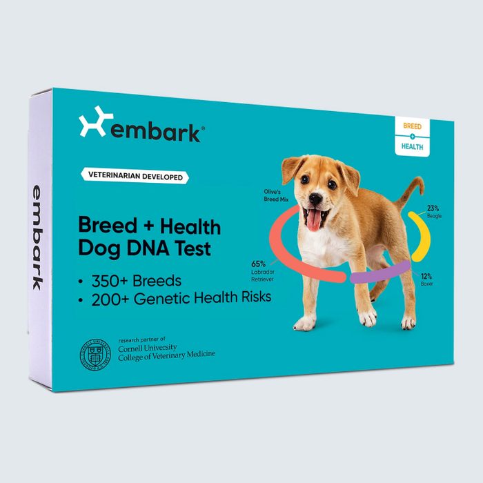 Box showcases dog DNA test, highlighting breed and health information. A happy puppy is the focus, with colorful breed percentage graphics in a blue setting.
