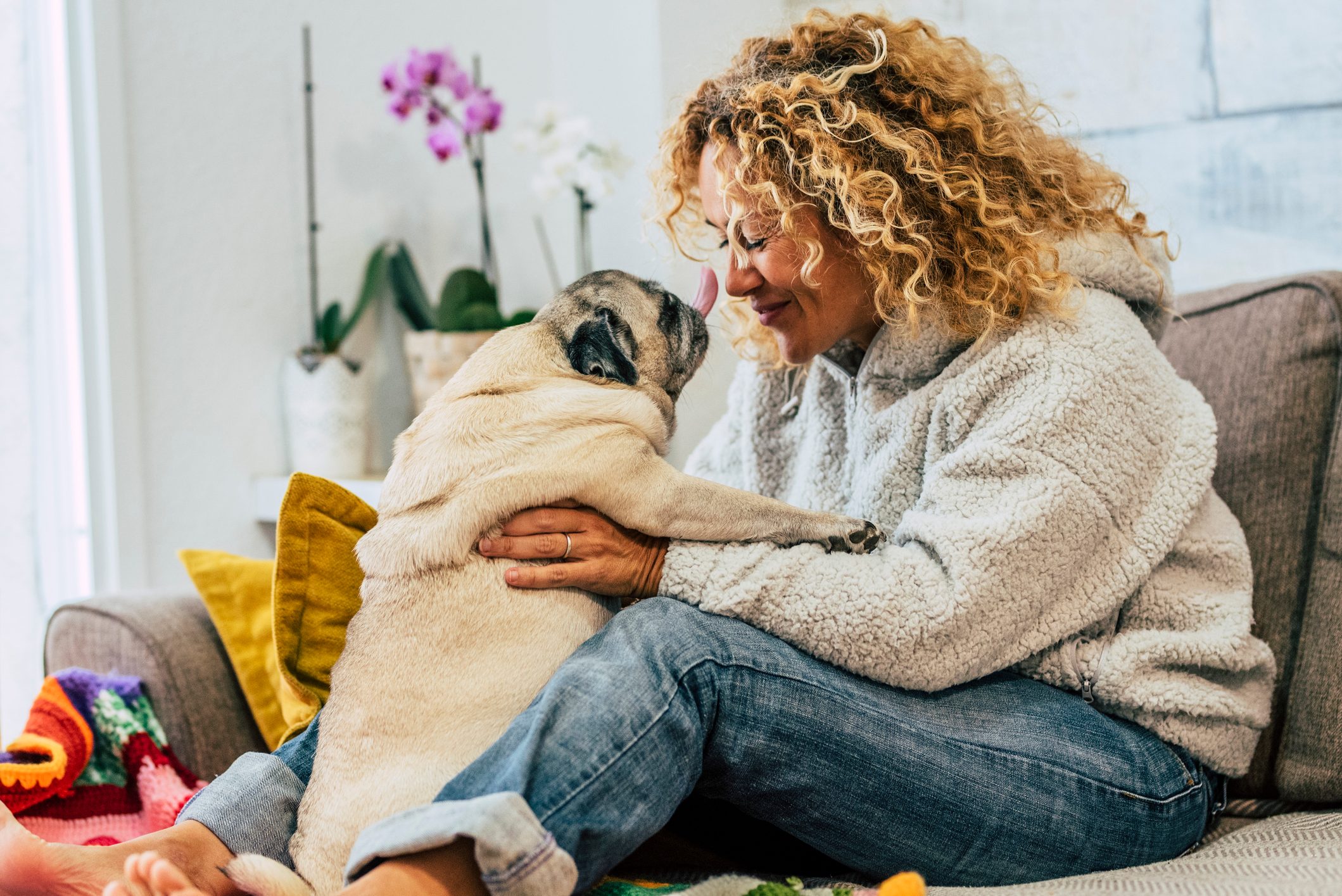 A pug licks a smiling woman's nose on a cozy couch, colorful blanket nearby, potted plants in the background.
