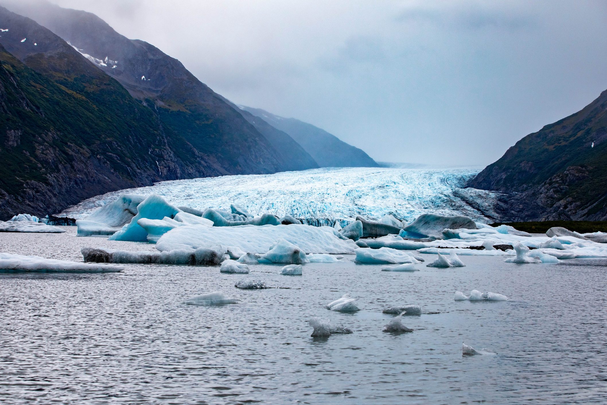 Icebergs float in a calm water body, surrounded by steep, green mountain slopes under a cloudy sky.