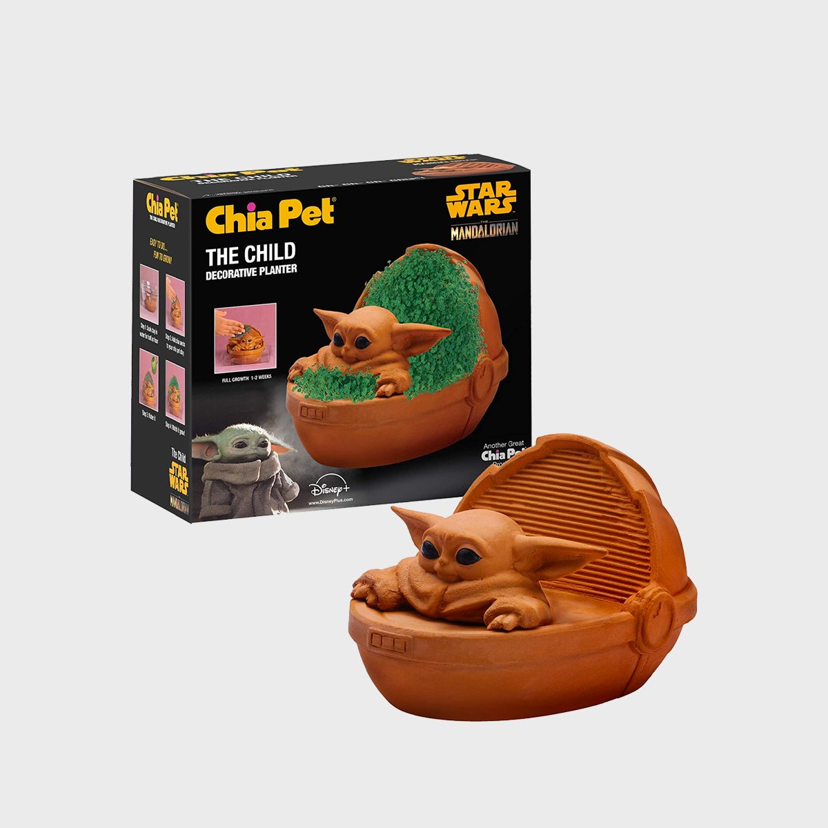The Child Chia Pet