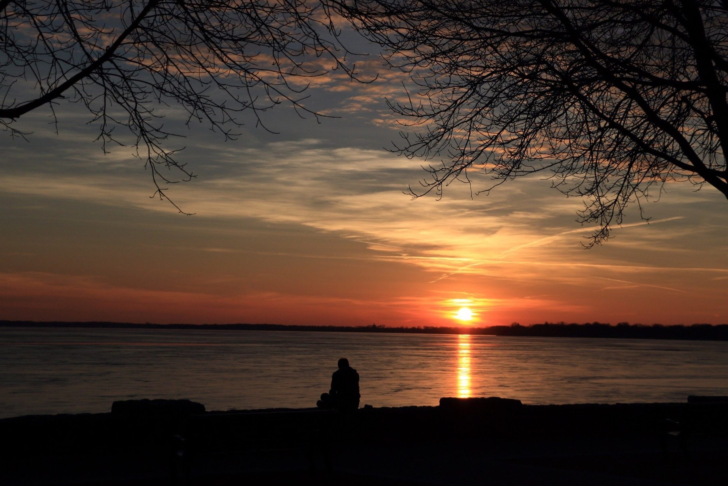 Sunset over water; person sitting silhouetted against the horizon; leafless branches frame the view.