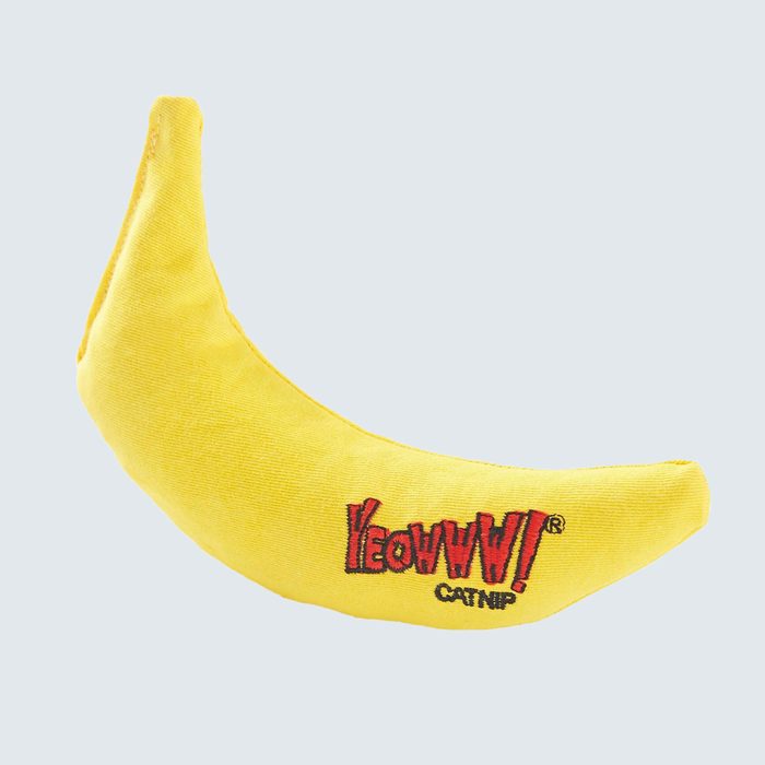 Yellow banana-shaped cat toy displaying the text 