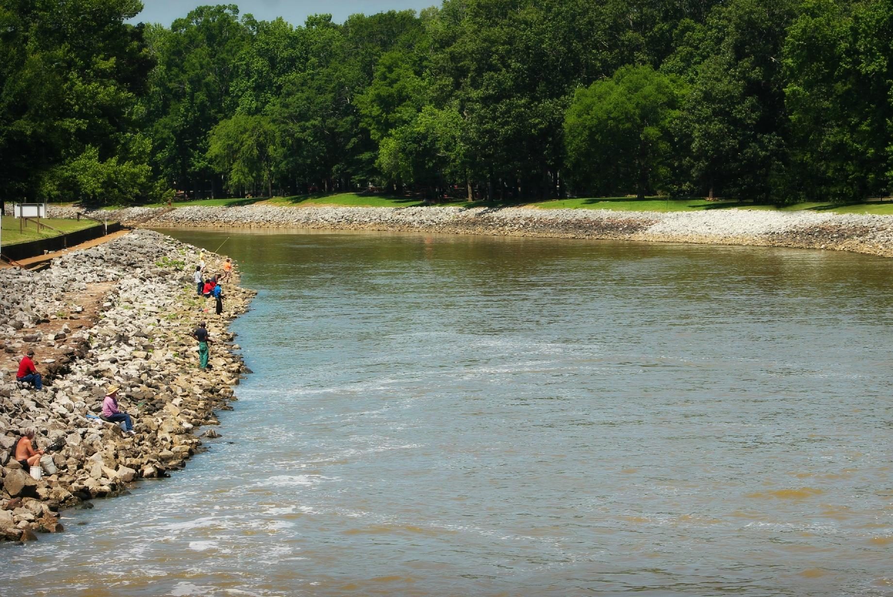 People fishing on rocky riverbank, surrounded by green trees under a clear sky.