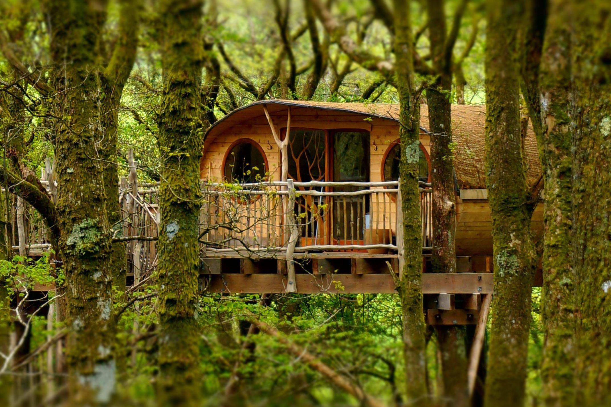 A rustic wooden treehouse sits elevated among lush green trees, blending harmoniously with the forest environment.