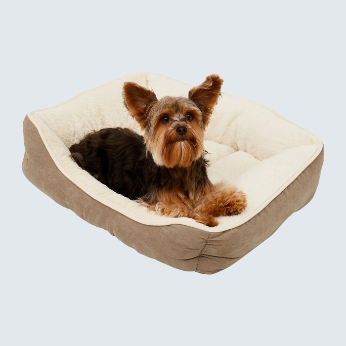 A small dog lies comfortably in a beige, plush dog bed with a calm expression.