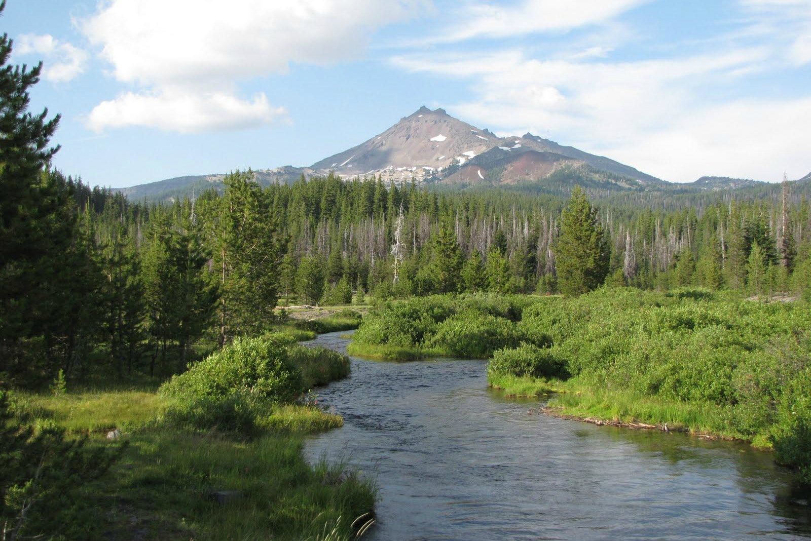 River flows through lush greenery with a mountain in the background under a partly cloudy sky.