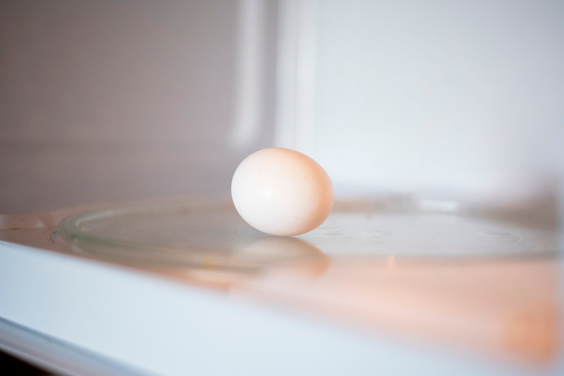 microwave egg