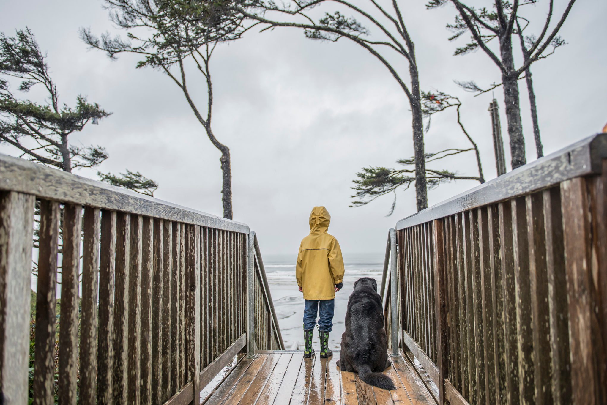 Boy and dog looking at view of sea, Olympic National Park, Washington State, USA