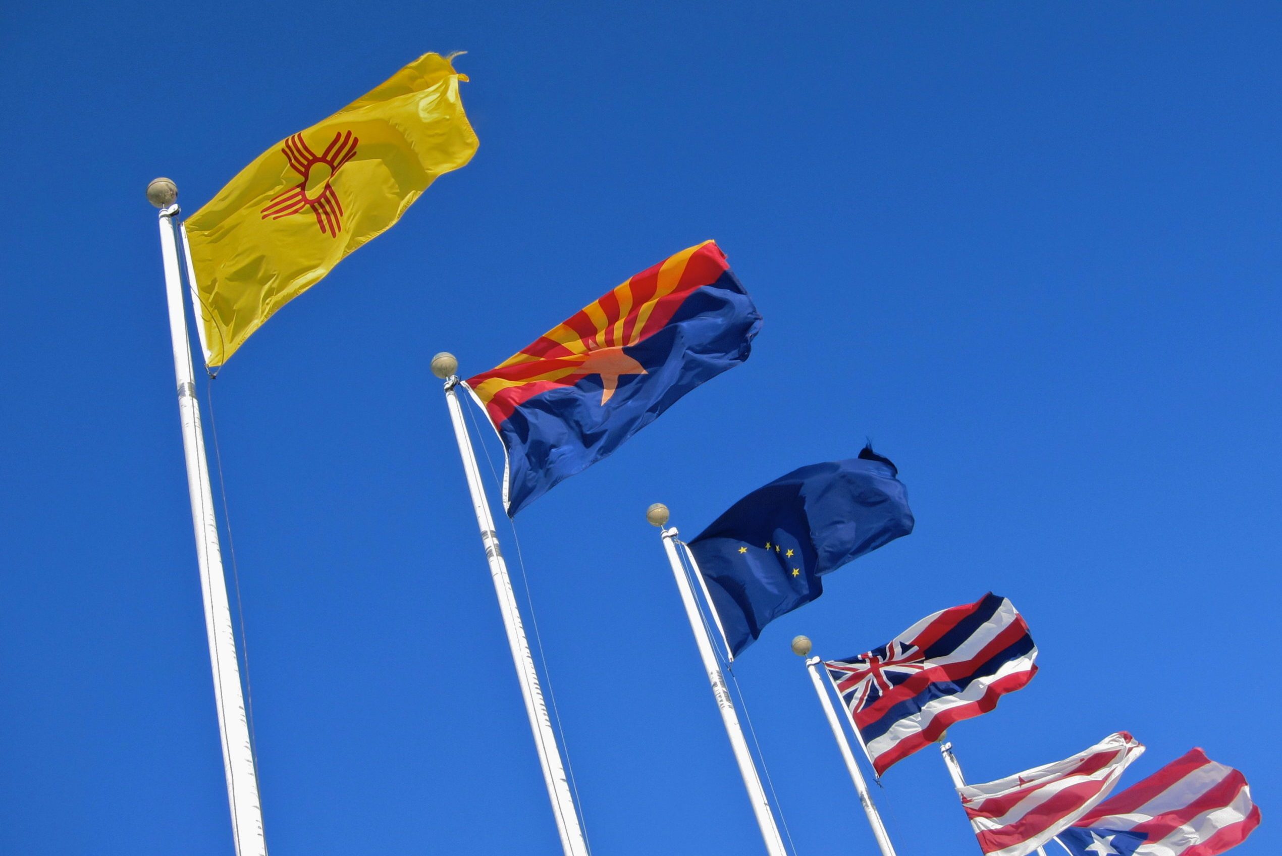 50 State Flags of America and the Meaning Behind Them