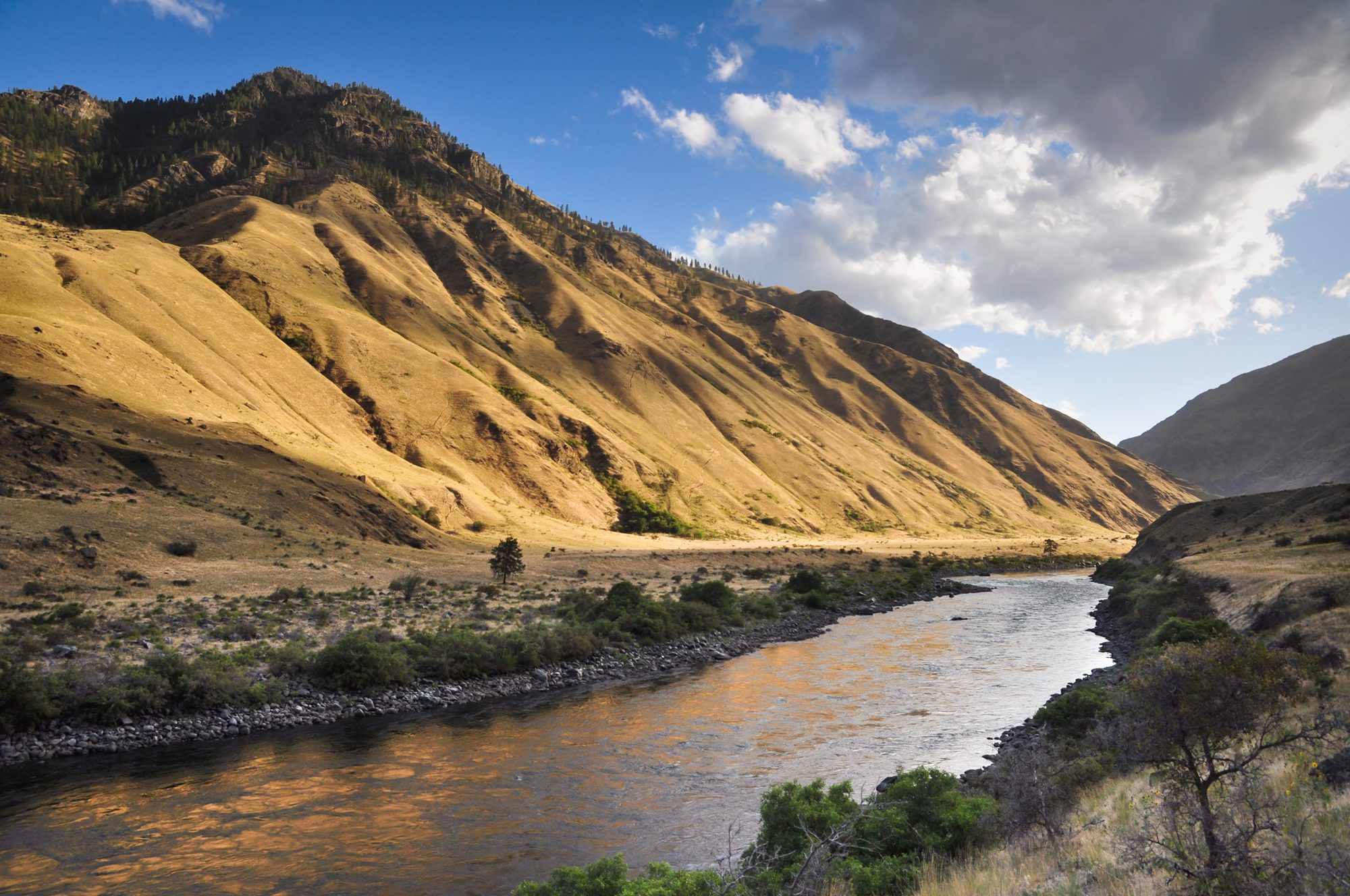 Hells Canyon Landscape