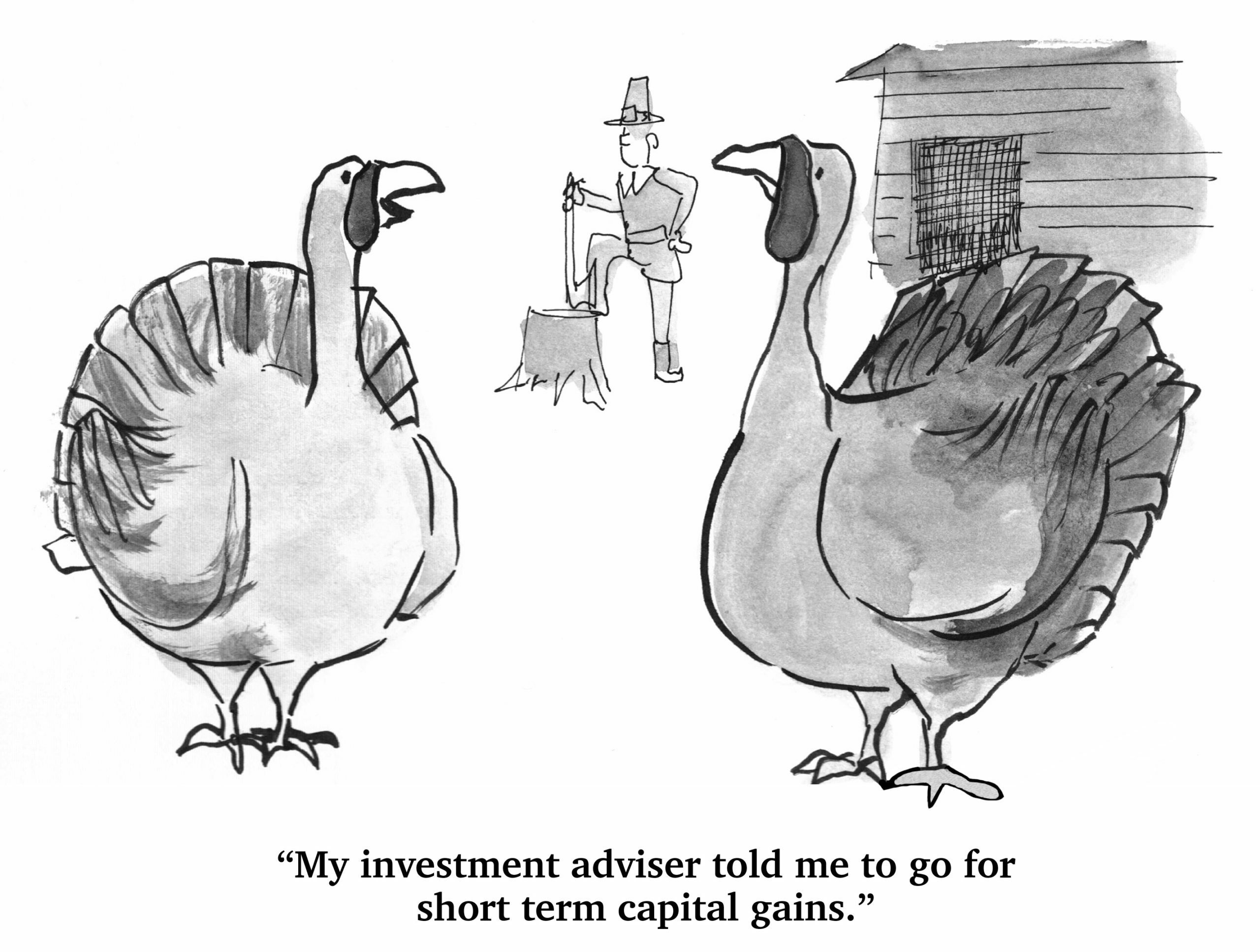 Turkey and Investments - thanksgiving cartoon