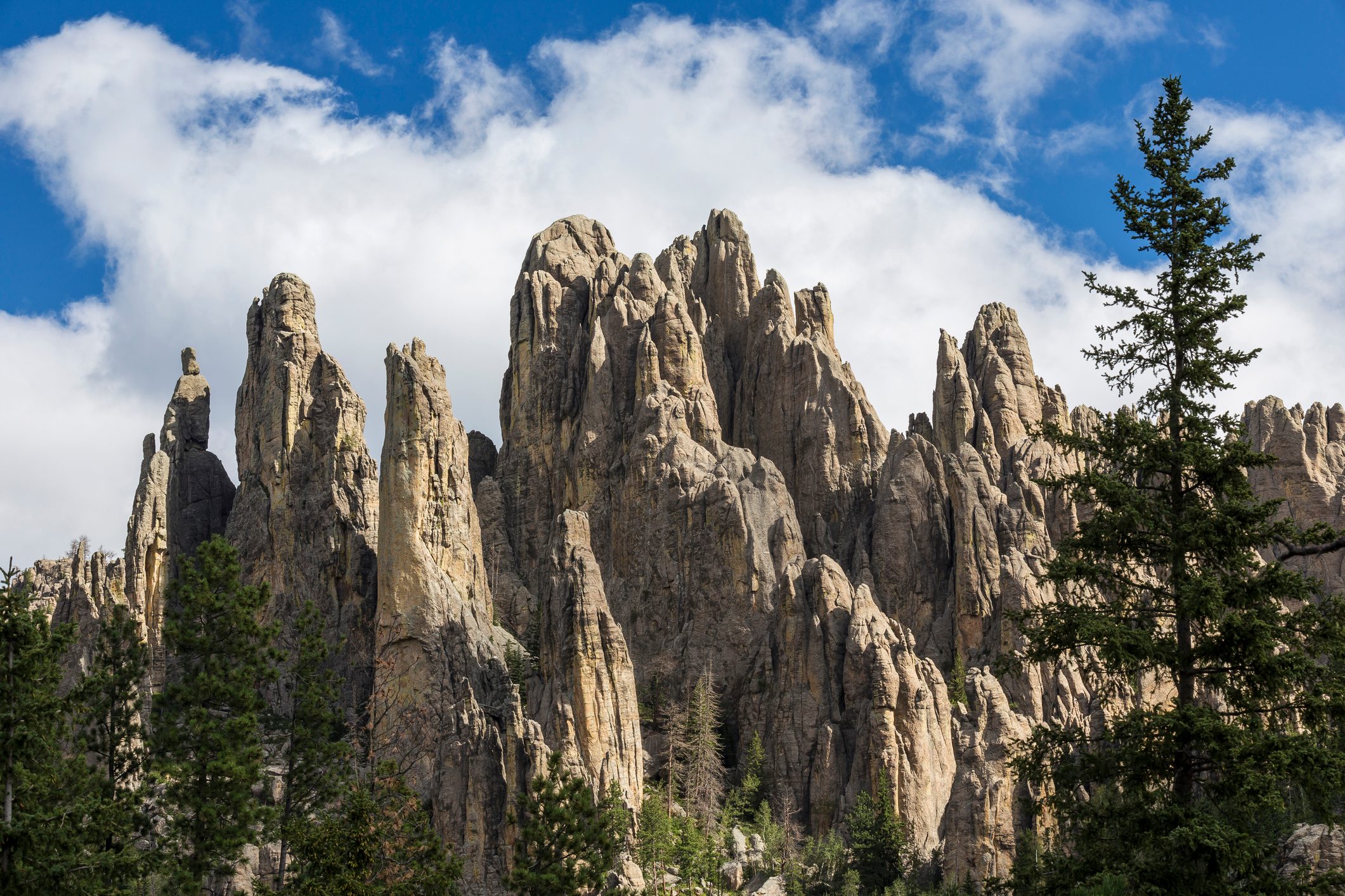 Cathedral Spires