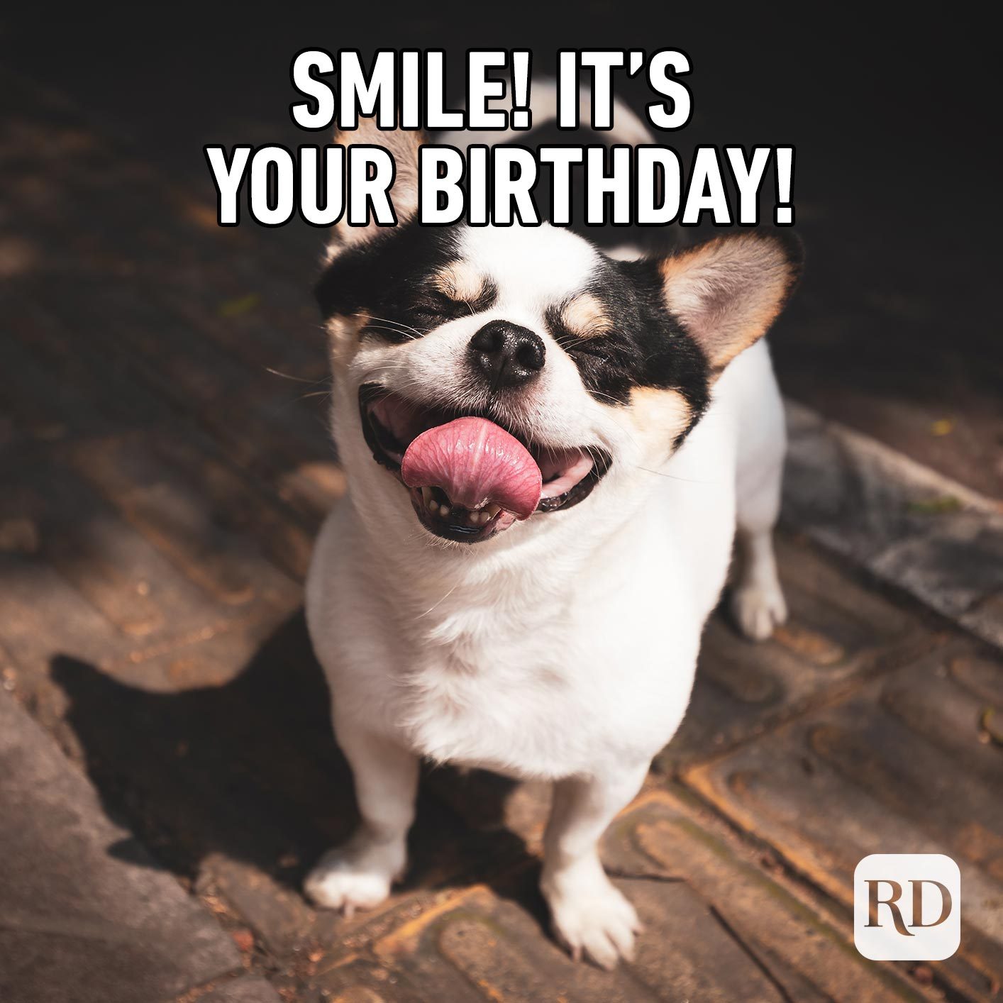 Smile! It's your birthday!