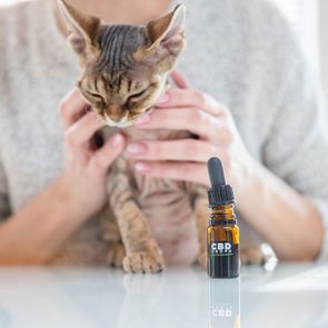CBD drops bottle sits on table; person holds a small, relaxed cat. Bright indoor setting with natural light.