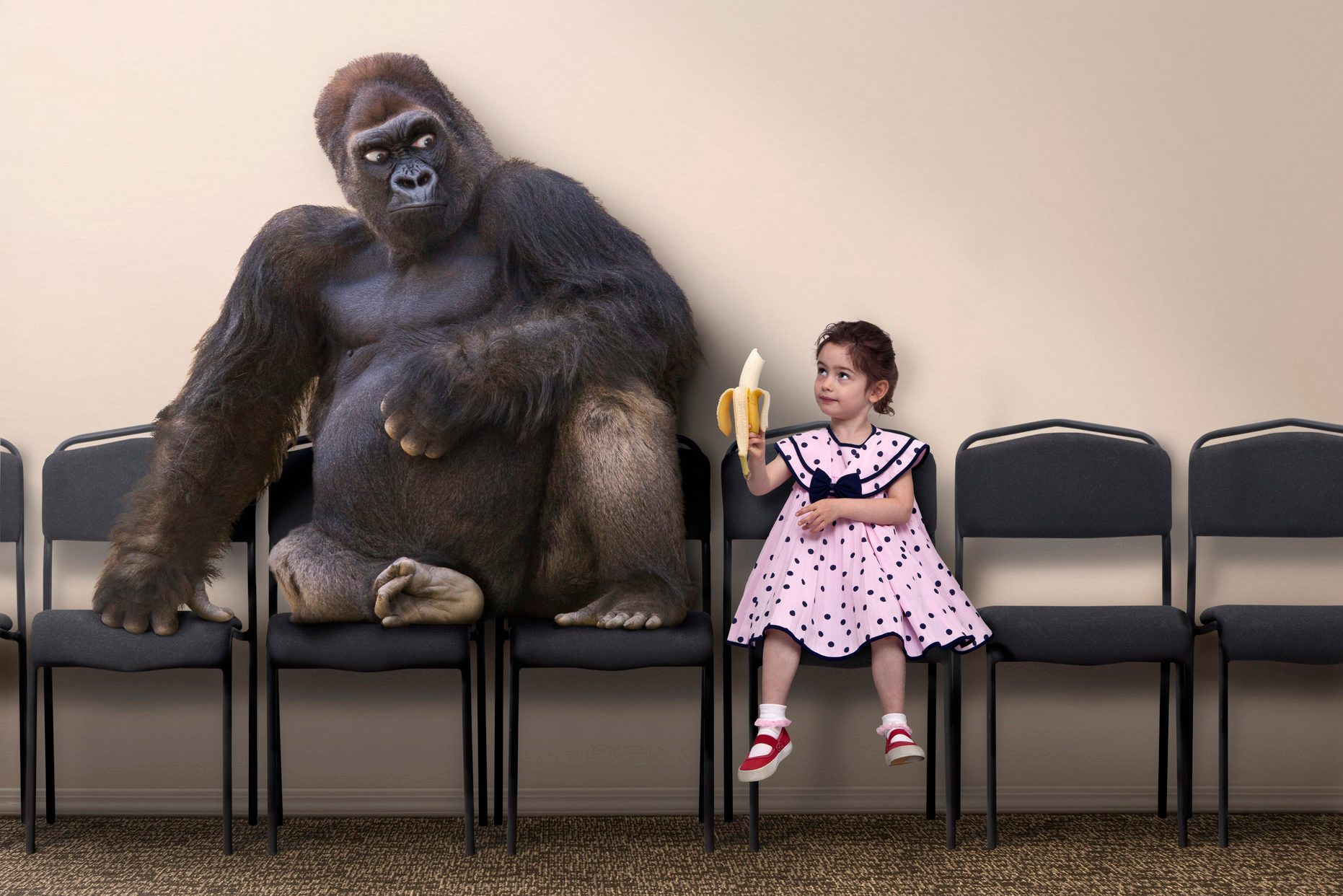 Caucasian girl offering banana to gorilla