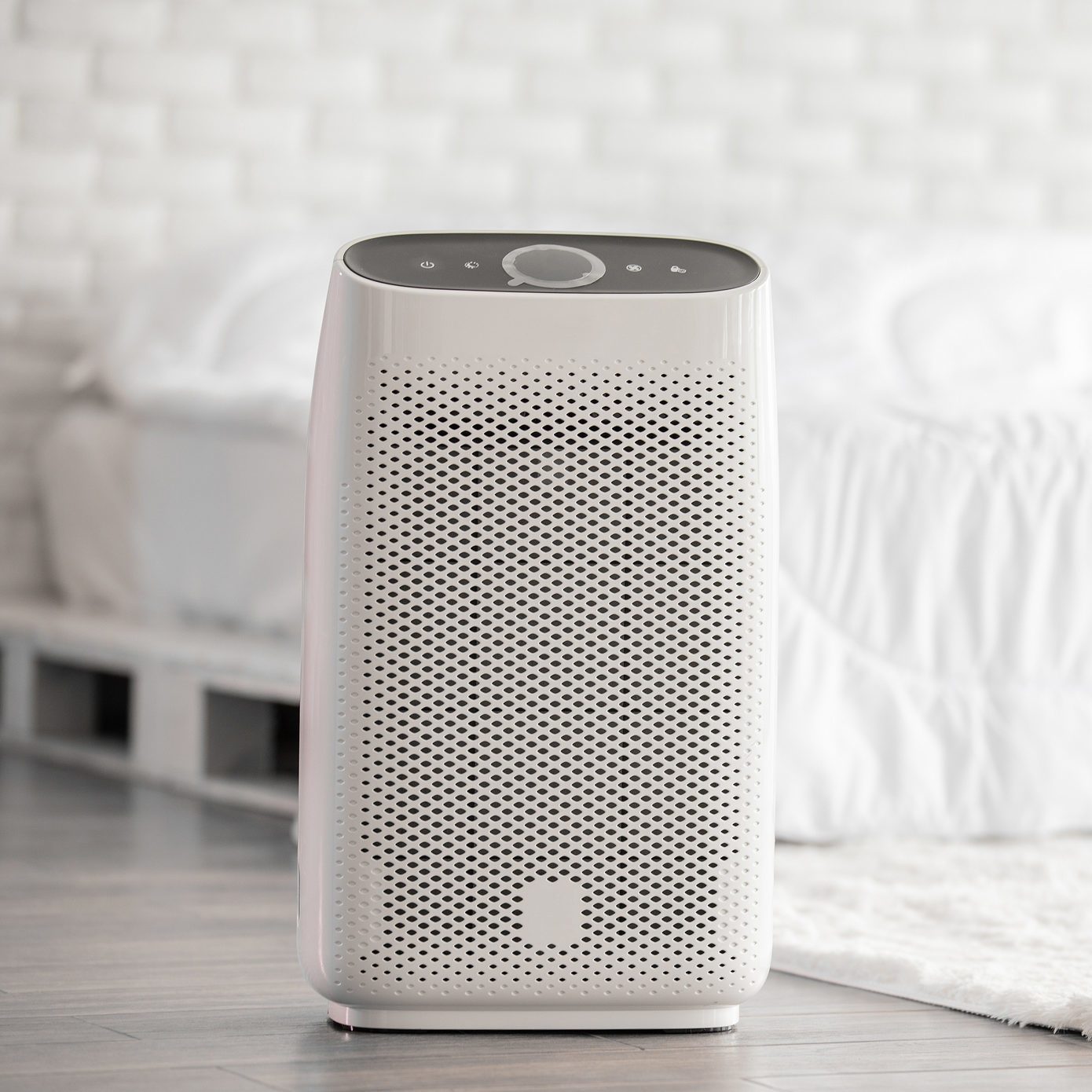 The 8 Best Air Purifiers Worth Buying