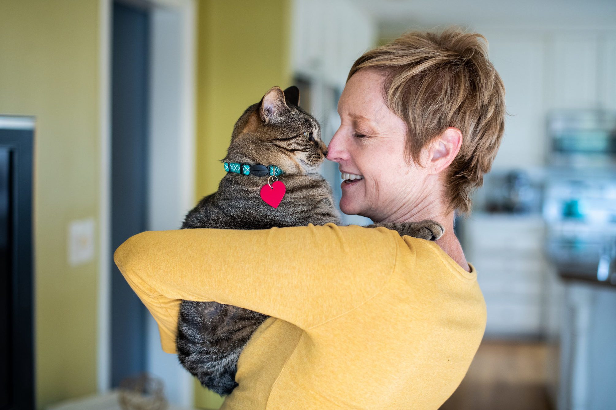 8 Hypoallergenic Cats for People with Allergies