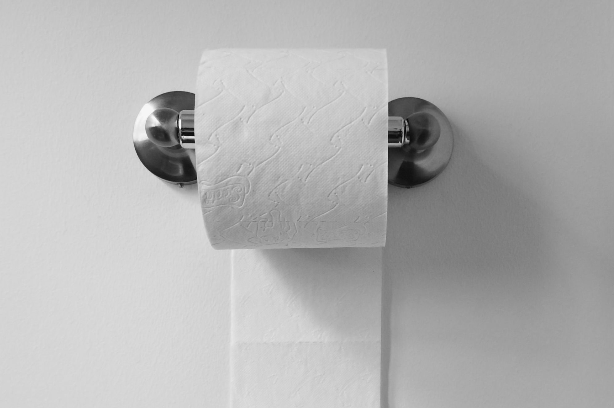 Toilet paper roll hangs from a metallic holder attached to a white wall.