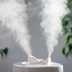 12 Best Humidifiers of 2024 to Keep You Healthy All Winter
