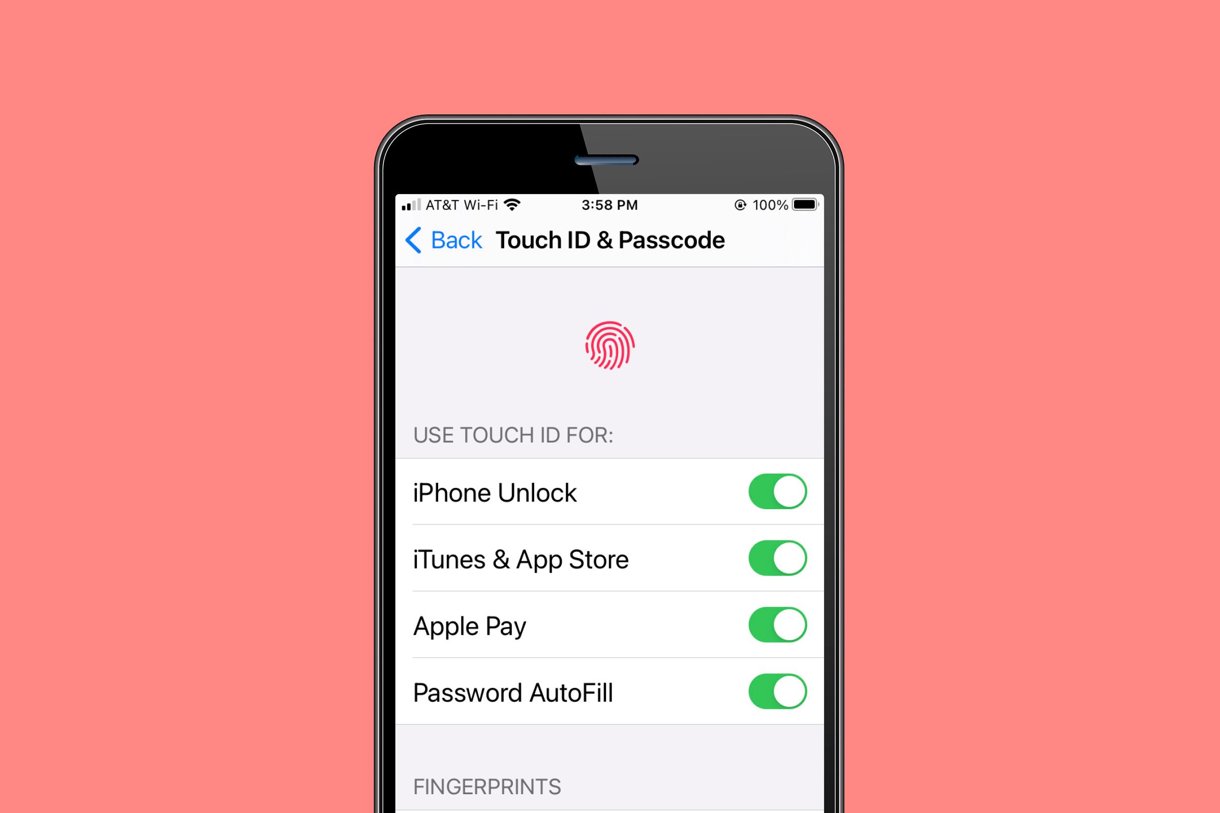 iPhone privacy menu showing fingerprint touch ID and passcode options