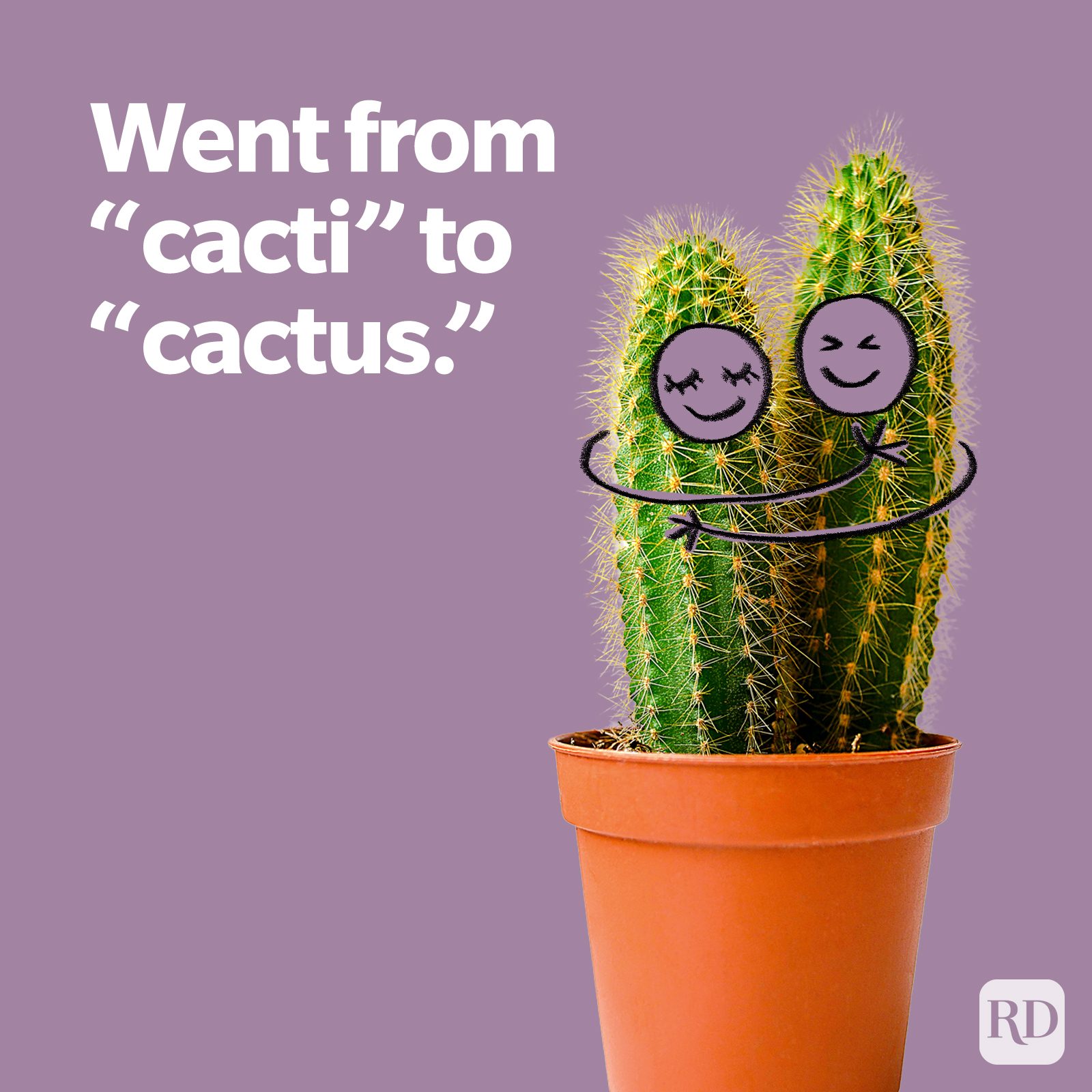 Two cartoon-faced cacti hugging in a pot, against a purple background, with text saying, "Went from 'cacti' to 'cactus.'"
