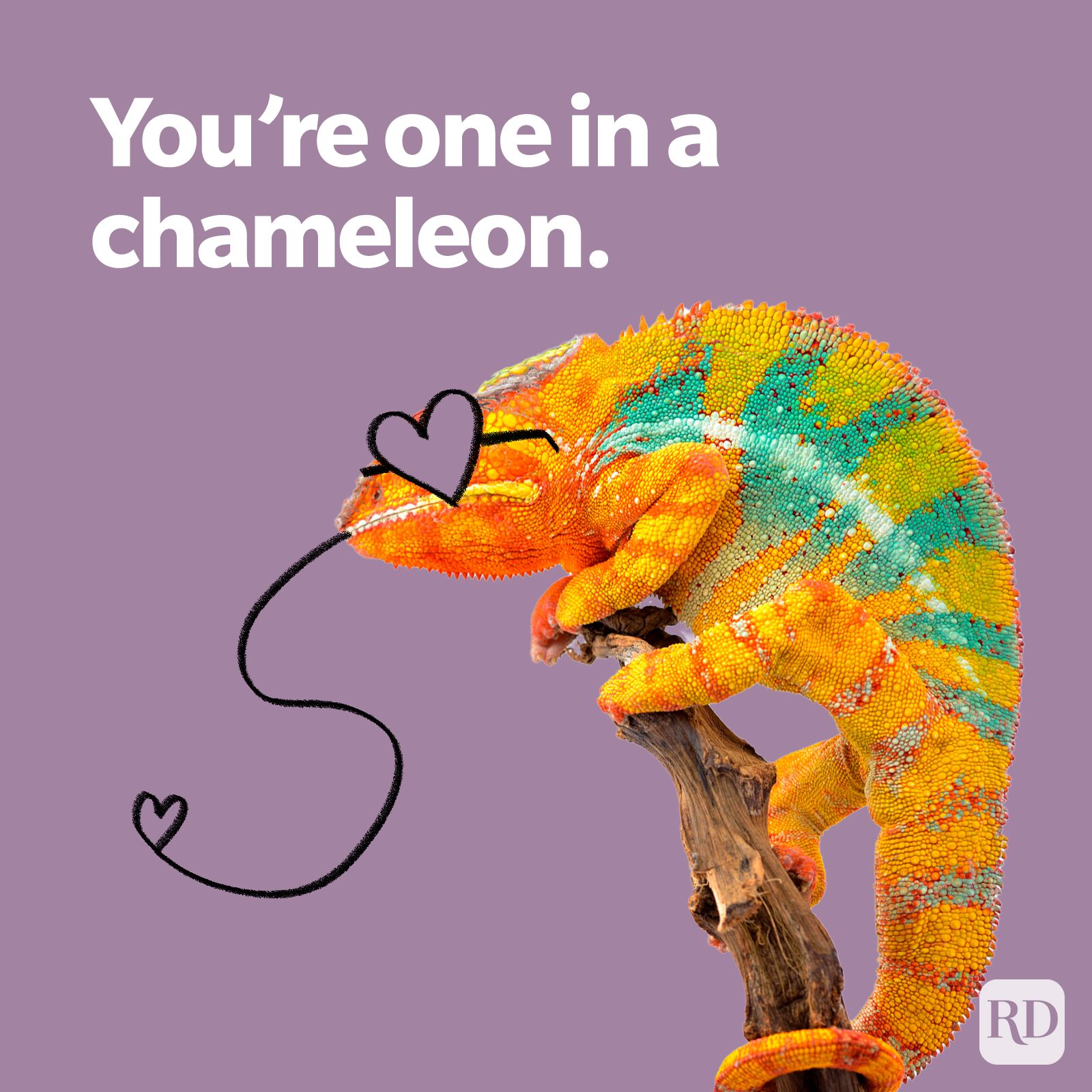 Chameleon perches on branch with heart-themed doodles, against a purple background. Text reads: "You're one in a chameleon."