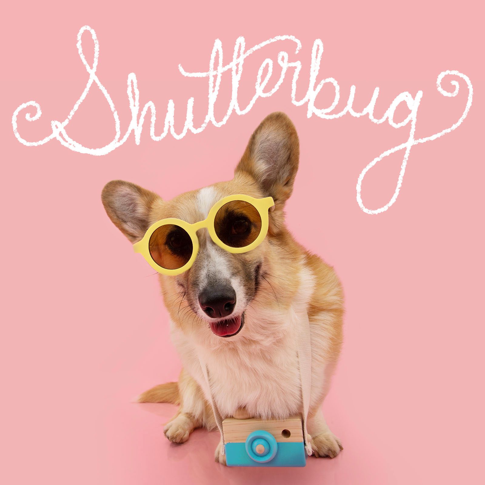 Funny Dog Names 10 Hobbies Gettyimages 1481920031