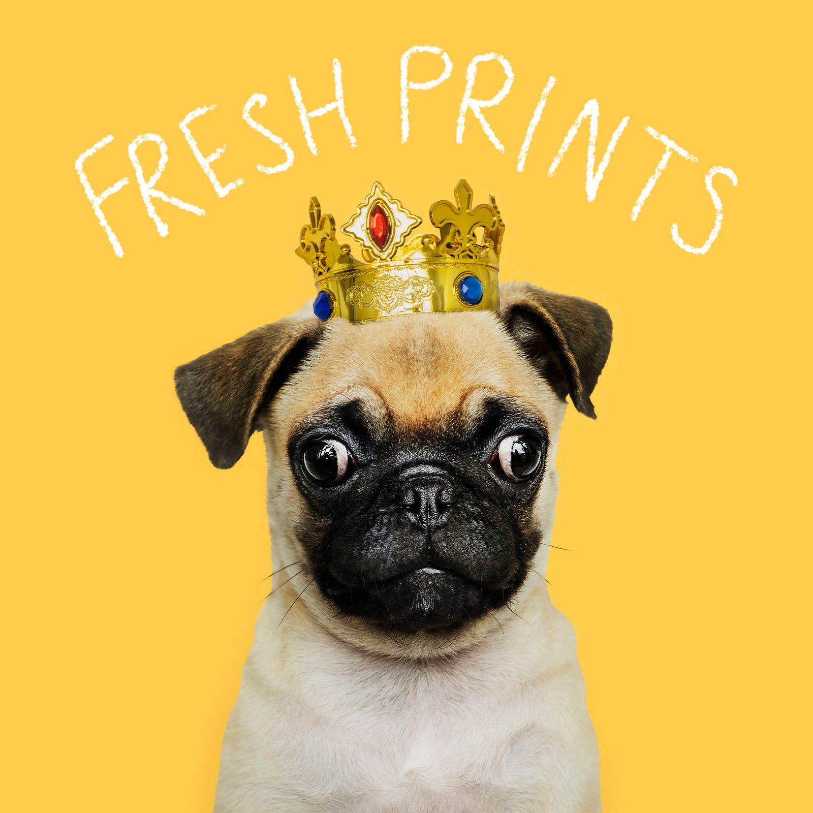 Funny Dog Names 2 Tv Shows Gettyimages 1127552668