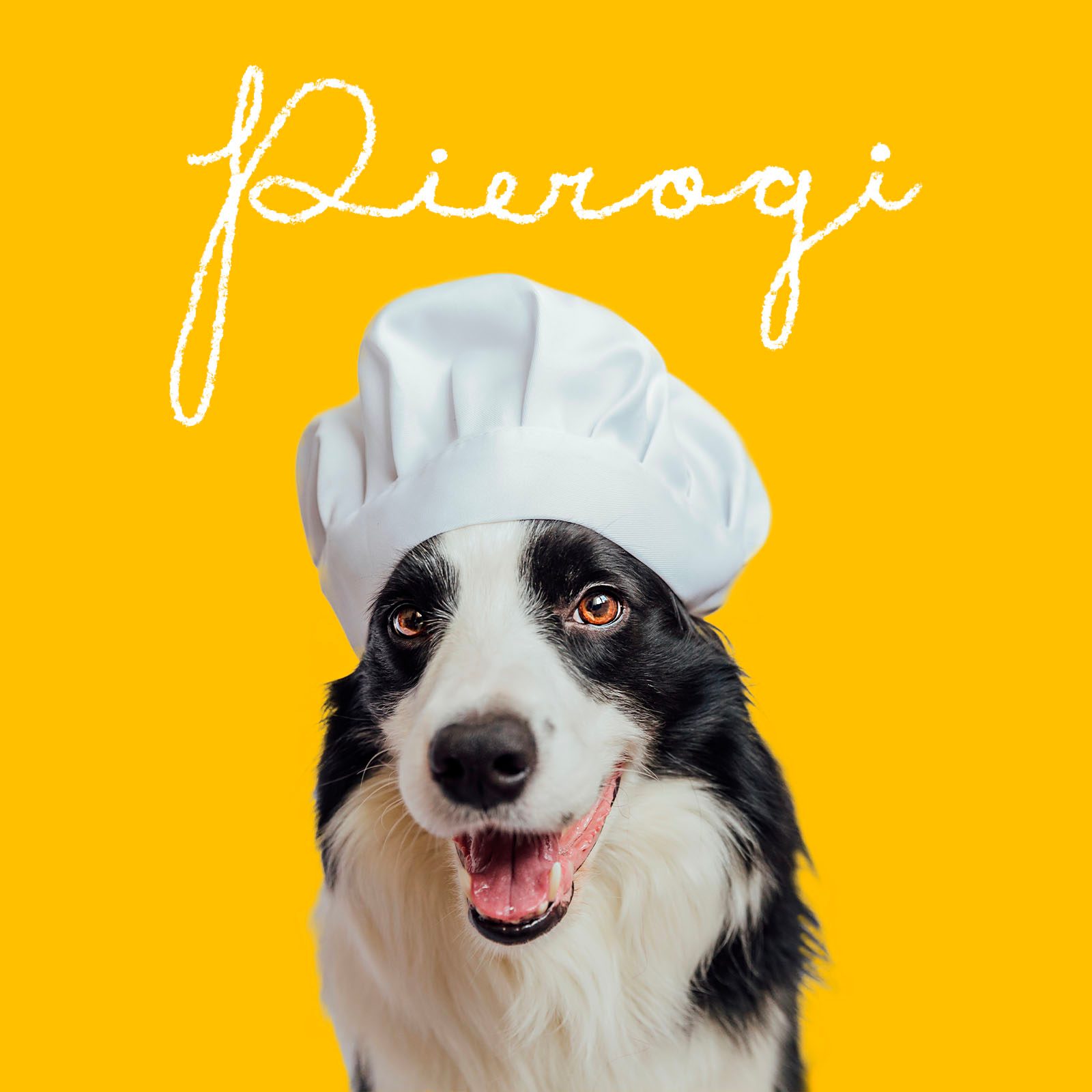 Funny Dog Names 4 Food Gettyimages 1461135960