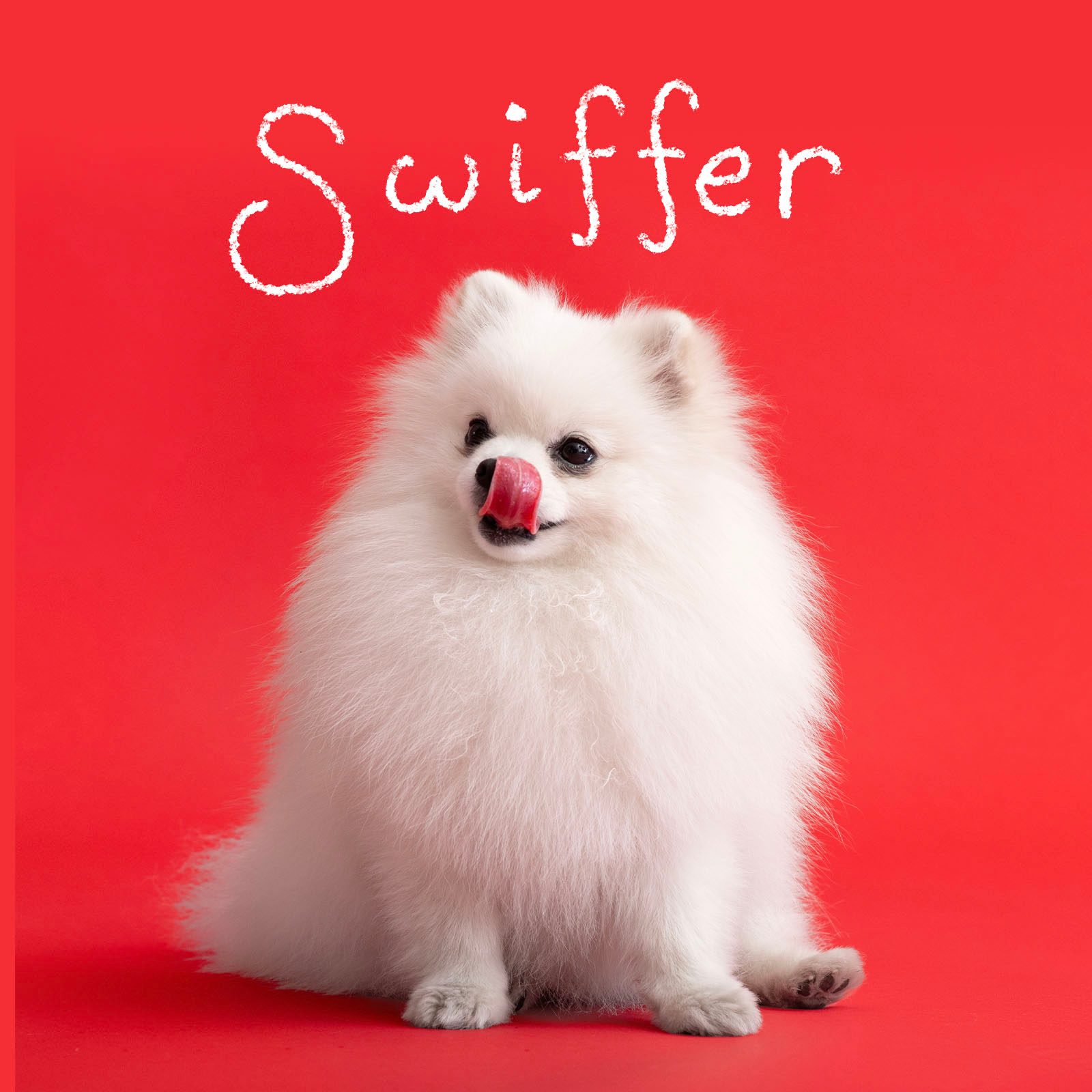 Funny Dog Names 7 Fluffy Gettyimages 1473600993