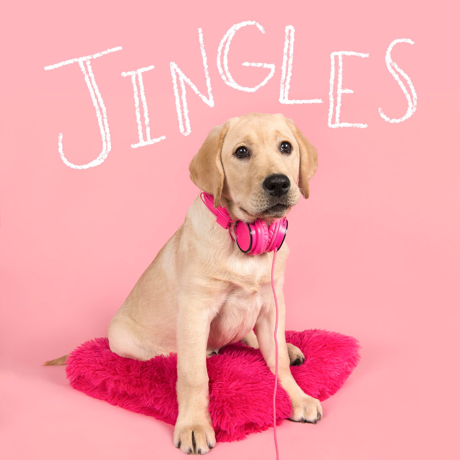 Funny Dog Names 8 Music Gettyimages 1275008298