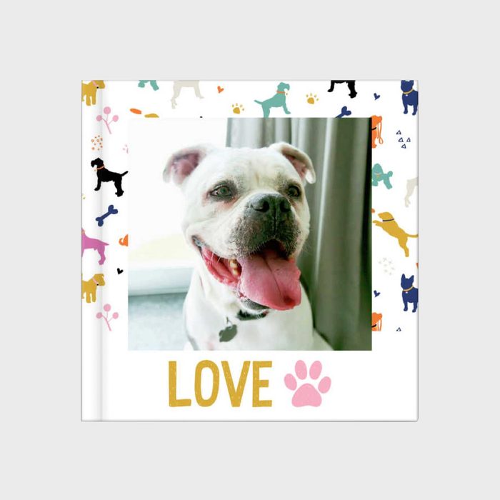 Dog sitting happily indoors; it has a wide-open mouth and tongue out. Surrounding are colorful dog illustrations. Text reads: â€œLOVEâ€ with a pink paw print.