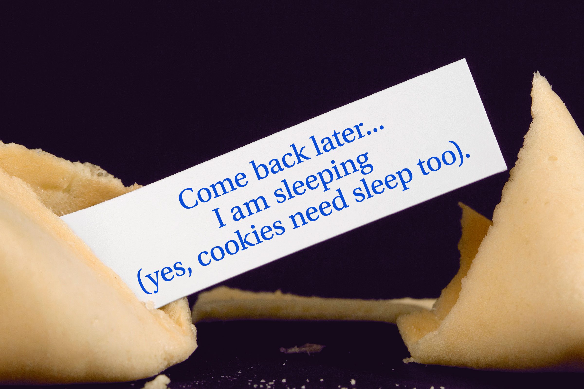 For image: Come back later...I am sleeping (yes, cookies need sleep too).