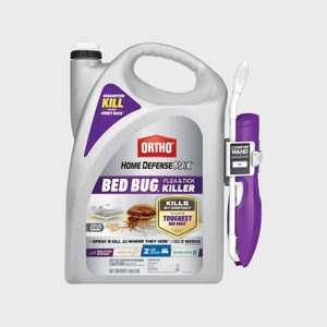 A jug of bed bug killer with a comfort wand, labeled 
