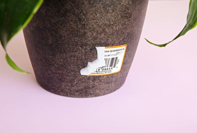 How to Remove Sticker and Adhesive Residue