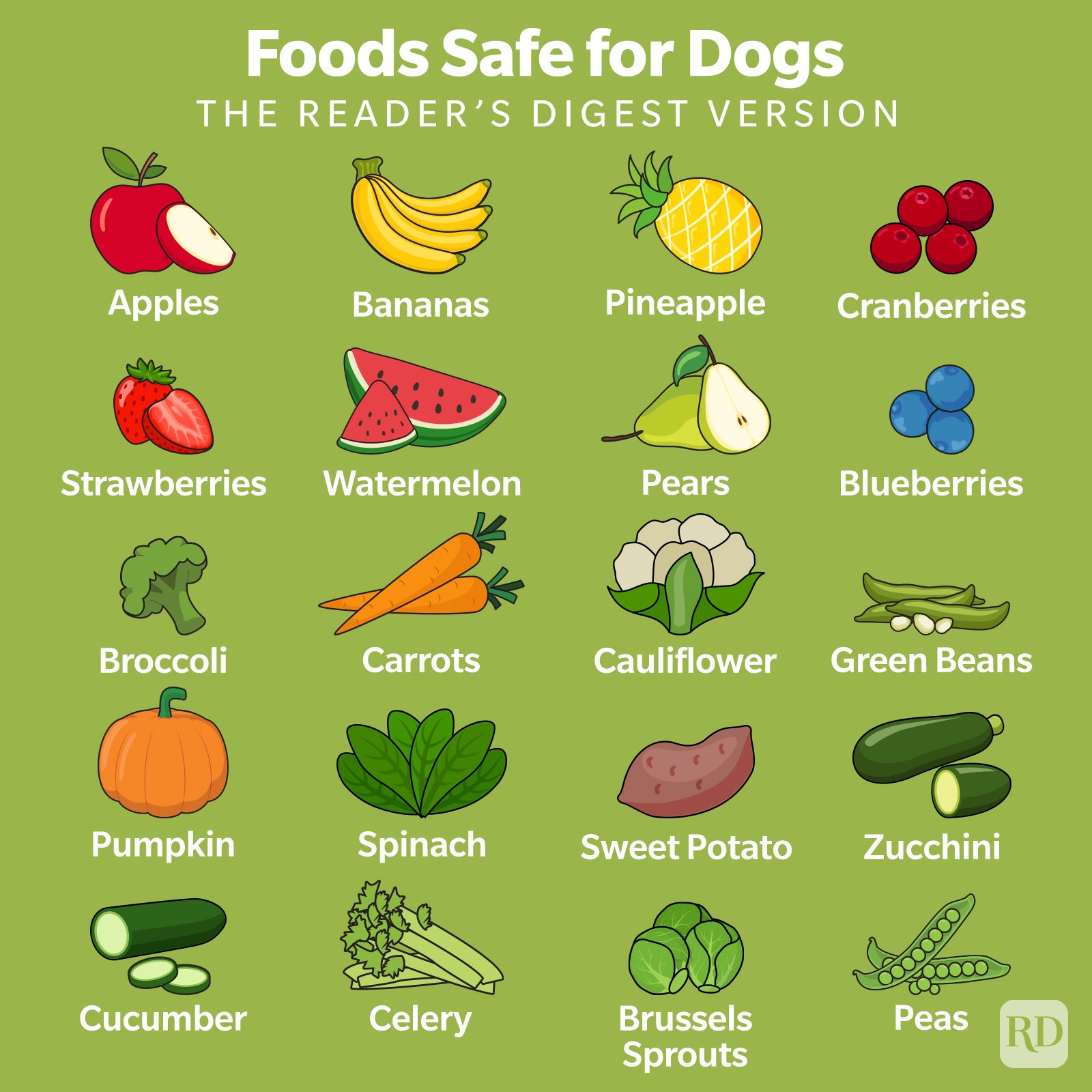 Illustrations of various fruits and vegetables labeled as safe for dogs, displayed on a green background.