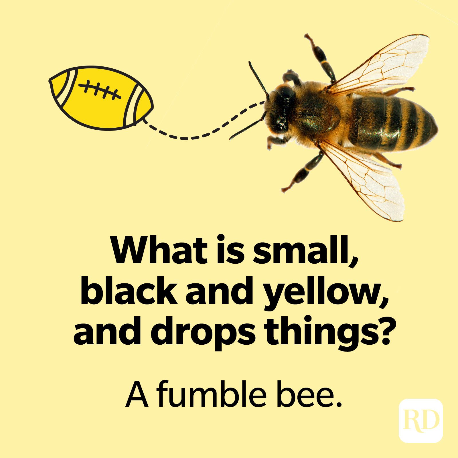 Beepun3