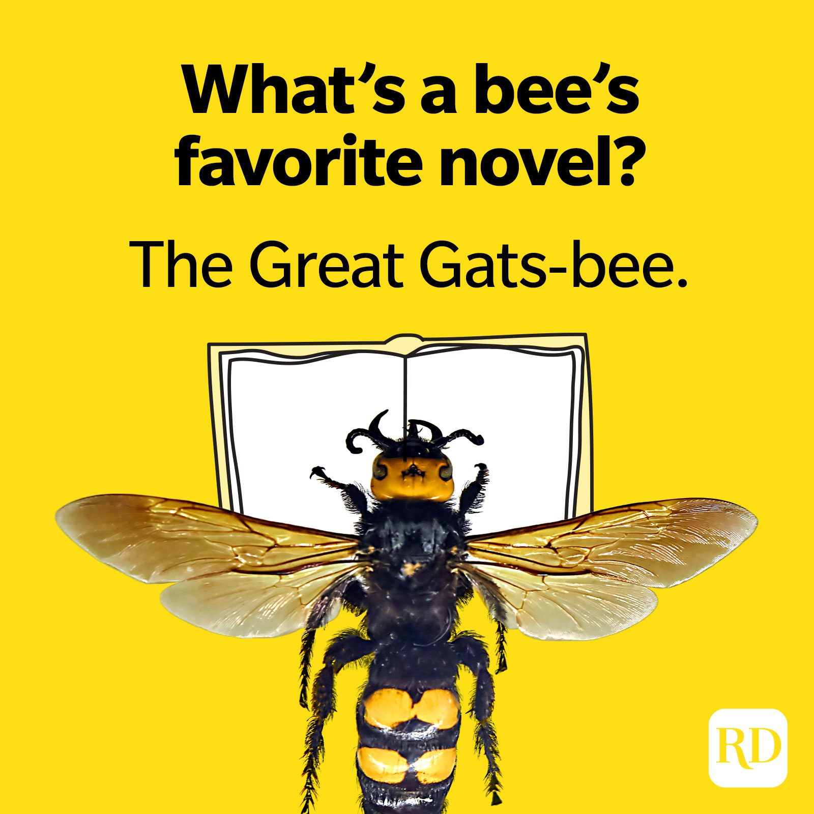 46 Bee Puns Worth Buzzing About