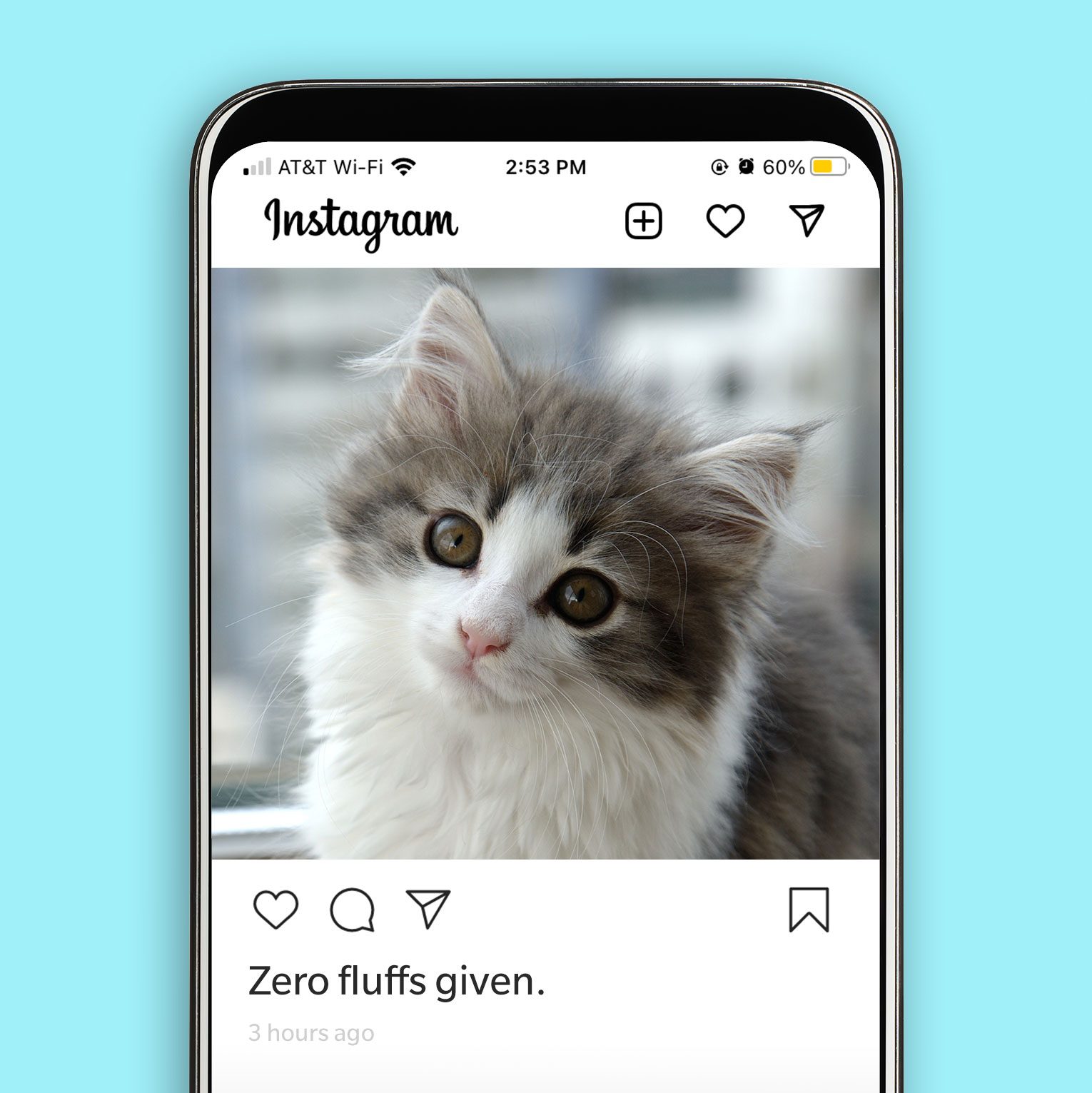 43 Purrfect Instagram Captions for Your Cat Photos