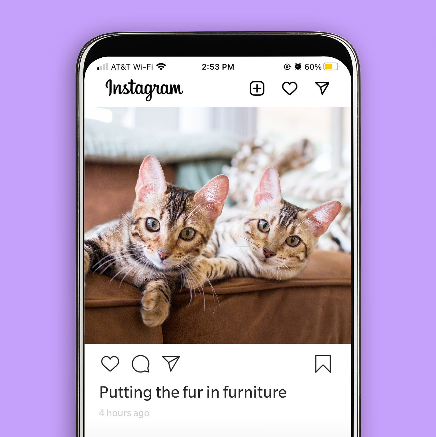 Instagram post of two cats on a couch with the caption "putting the fur in furniture."