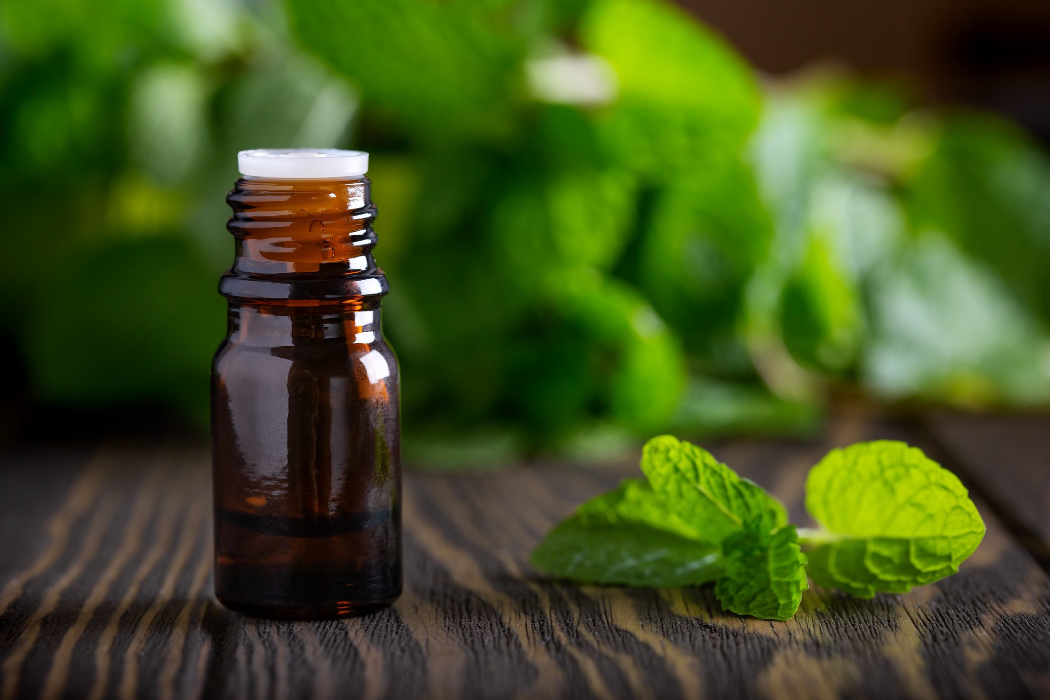 Blank amber bottle with essential oil Peppermint with mint leaves
